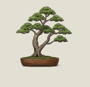 Sokan bonsai style example