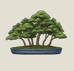 Yose-ue bonsai style example