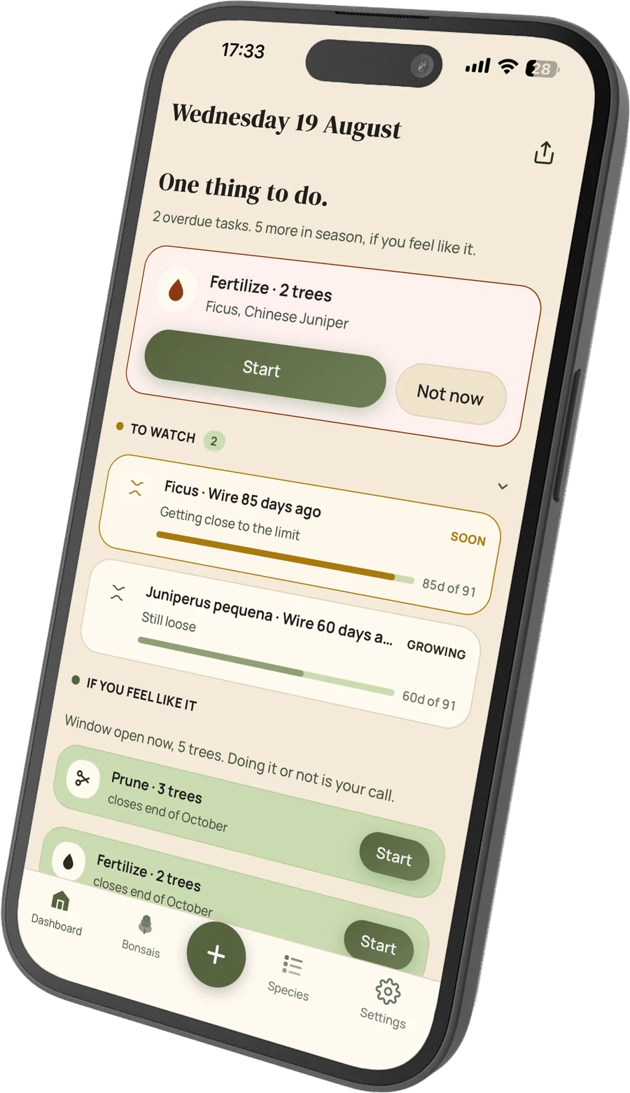 Bonsai Pilot app on iPhone showing bonsai care details Bonsai Pilot app on iPhone showing bonsai care details
