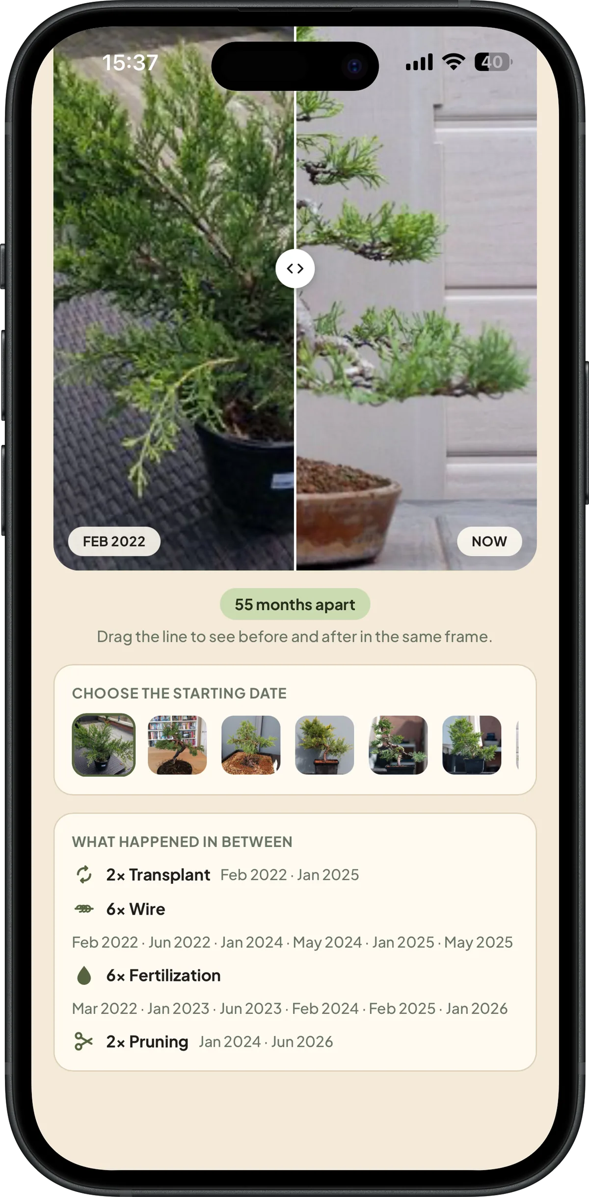 Bonsai Pilot compare screen showing events between two dates